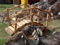 /album/rustic-/a178899-3227790055938-1619396191-n-jpg/