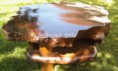 /album/rustic-/a313221-1975546750638-1276172676-n-jpg/